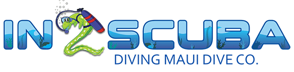 In 2 Scuba Diving Maui Dive Co.