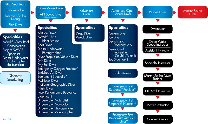 PADI ConEdChart HorizDown 12