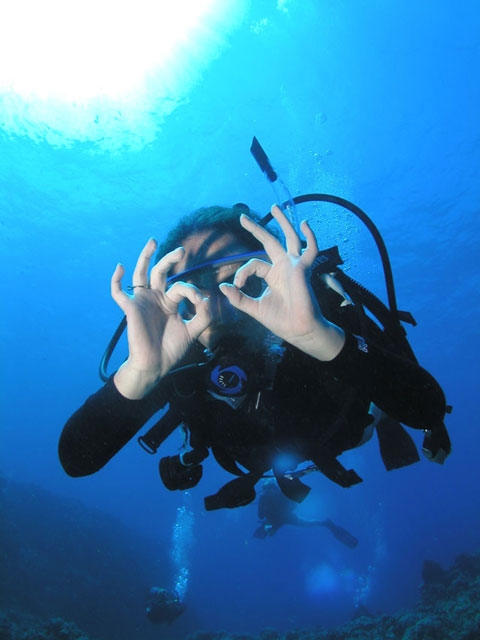 Maui Scuba Diver Looking Down Ok Eyes 480X640 01 Scuba Diving Near Lahaina Kaanapali Maui Yelp