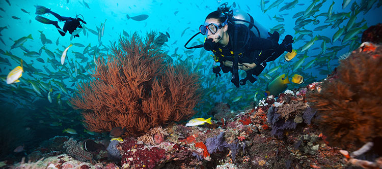 Everything-you-need-to-know-about-Scuba-Diving