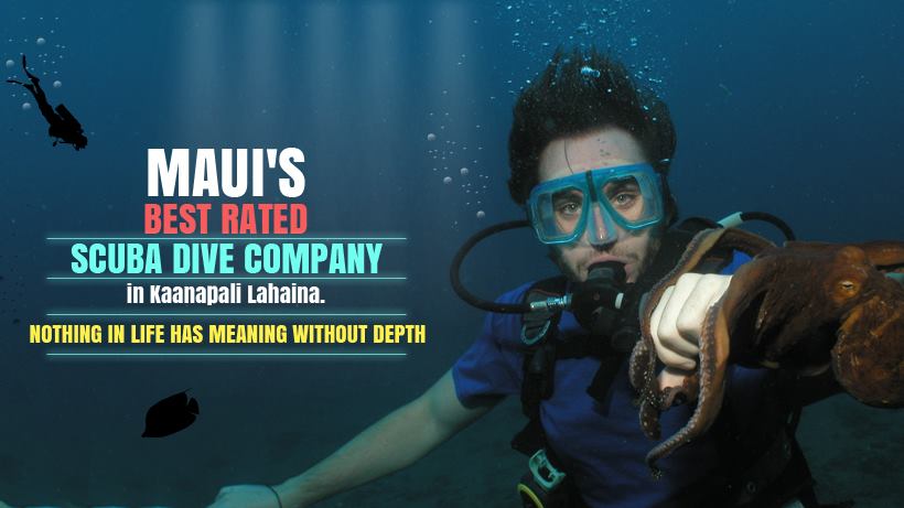 In2Scuba Diving Maui Scuba Diving Classes