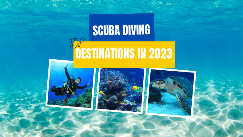 Top Scuba Diving Destinations in 2023